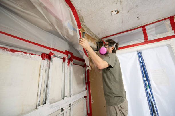 Best Real Estate Mold Inspection  in Arapahoe, WY