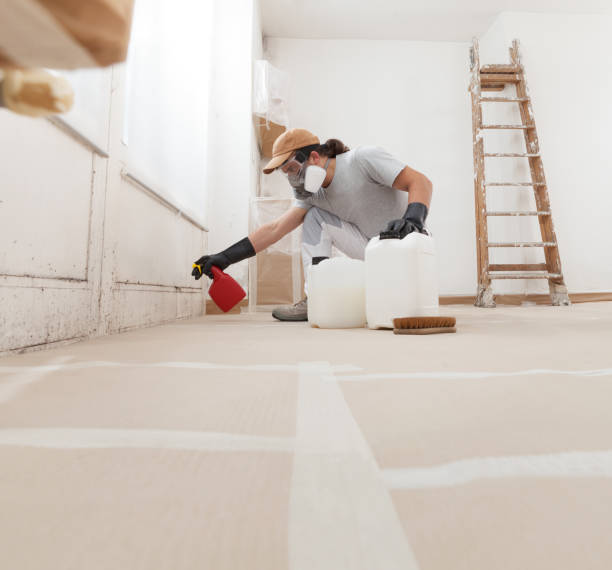 Best Crawl Space Mold Remediation  in Arapahoe, WY